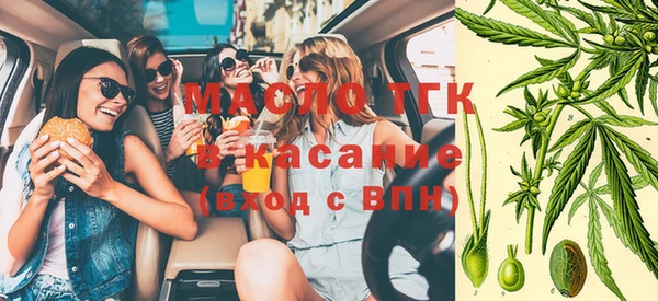 дживик Арсеньев