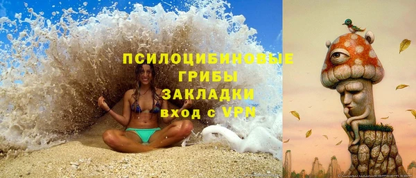 гидра Армянск