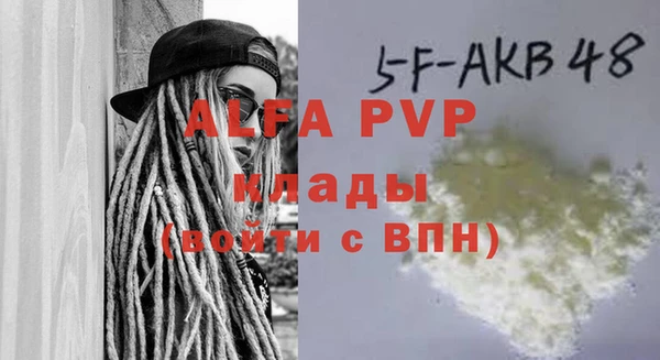 дживик Арсеньев